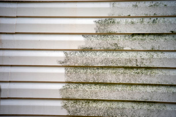 Best Shed Removal  in South Hempstead, NY